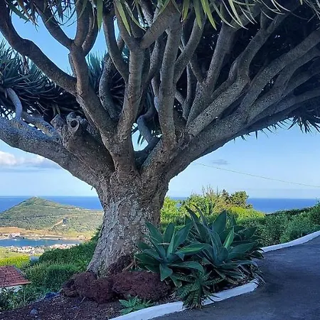 Home4u Apartment Horta (Azores)