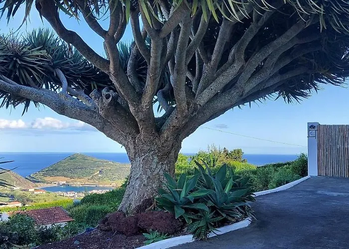 Home4u Apartmán Horta (Azores)